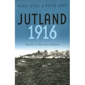 Image of Jutland, 1916 : Death in the Grey Wastes