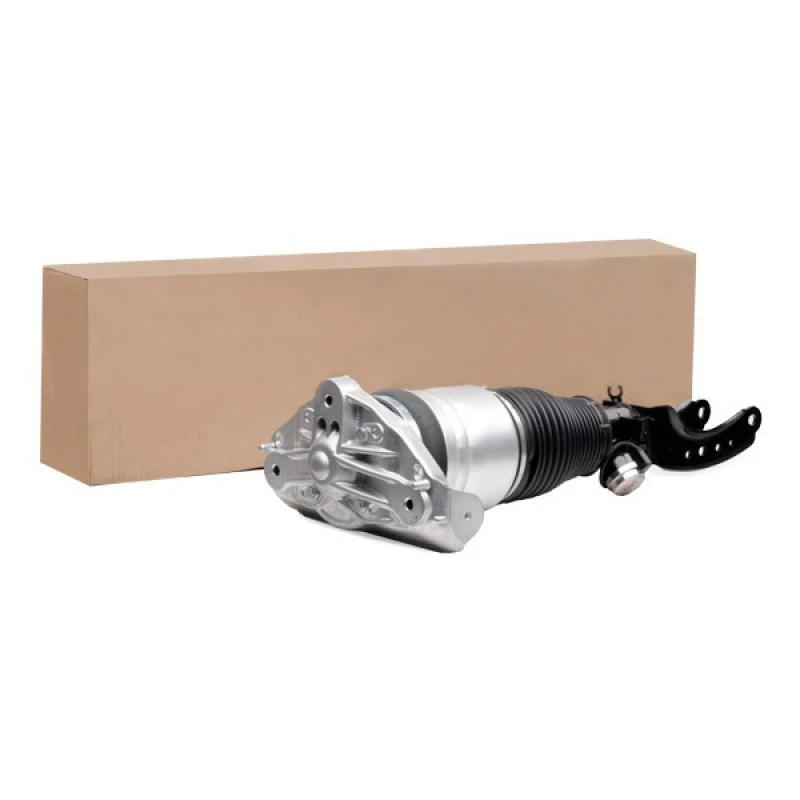 Image of RIDEX Air suspension strut RIDEX 4118A0042