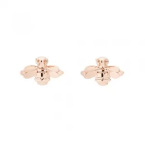 image of Ted Baker Beelii Bumble Bee Rose Gold Finish Stud Earrings...