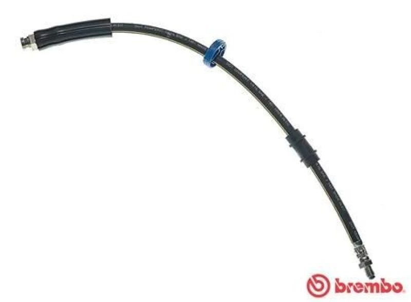 Image of BREMBO Brake hose BREMBO T 61 031