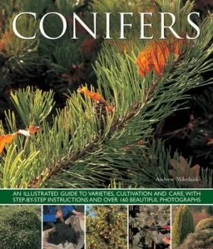 Image of Conifers by Andrew Mikolajski
