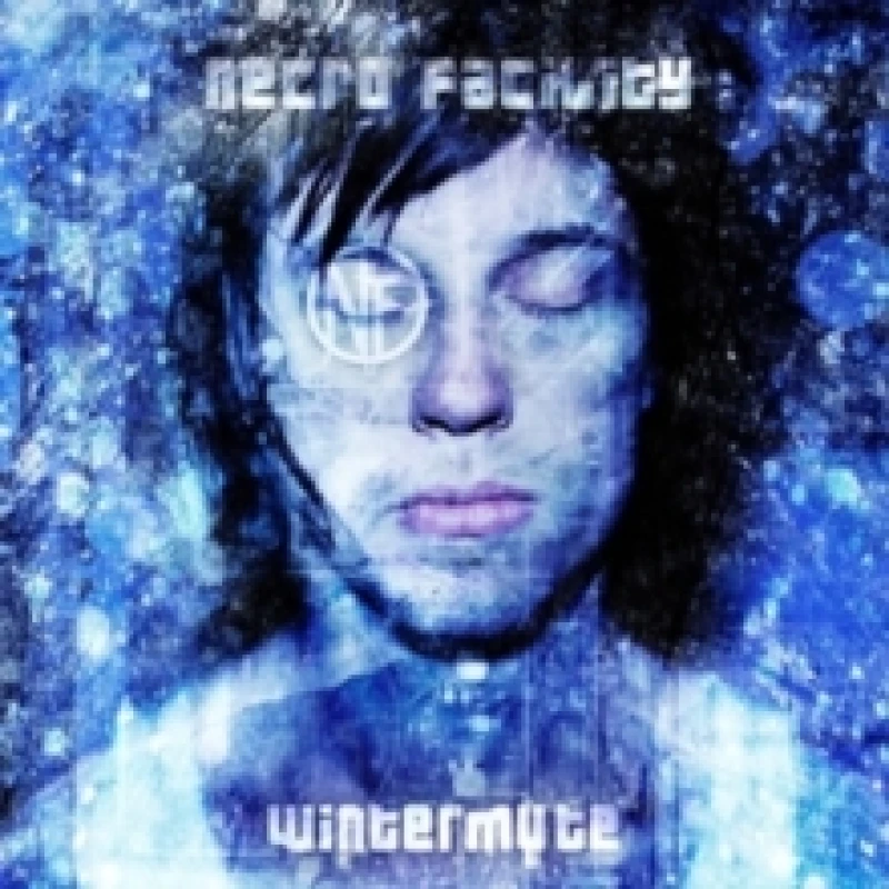 Image of Wintermute CD / Album
