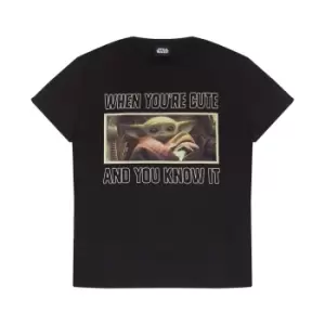 Image of Star Wars: The Mandalorian Womens/Ladies The Child Cute Boyfriend T-Shirt (M) (Black)