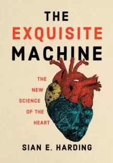 Image of The Exquisite Machine : The New Science of the Heart