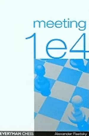 Image of meeting 1e4