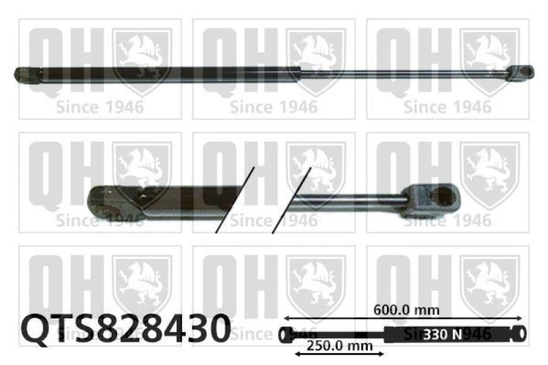 Image of QUINTON HAZELL Tailgate strut QUINTON HAZELL QTS828430