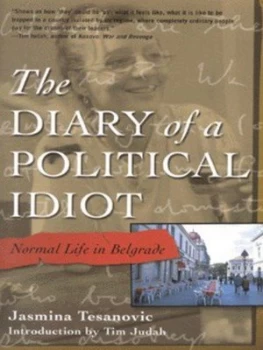 Image of The Diary of a Political Idiot by Jasmina Tesanovic Book