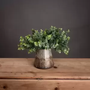 Image of Leaf Spray