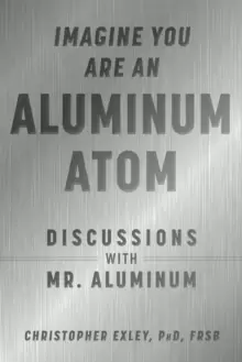 Image of Imagine You Are An Aluminum Atom : Discussions With Mr. Aluminum