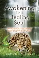 Image of awakening the healing soul indigenous wisdom for todays world