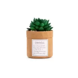 Image of Plant Kindness - Grateful