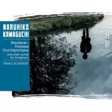 Image of Franz Schubert: Wanderer-Fantasie/Four Impromptus...