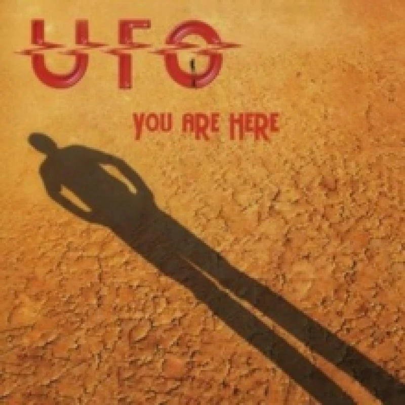 Image of You are here Vinyl
