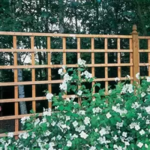 image of Forest 6' x 4' Heavy Duty Square Garden Trellis Fence Panel (1.83m x 1.22m)