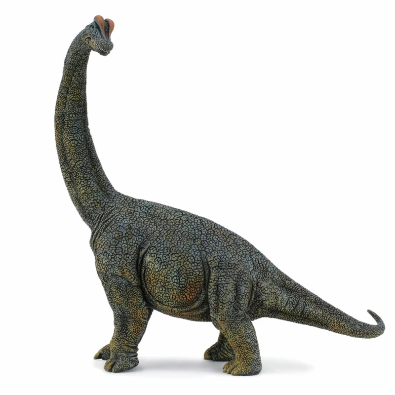 Image of CollectA Brachiosaurus Dinosaur Toy Dark Blue unisex