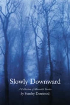 Image of Slowly Downward by Stanley Donwood Book