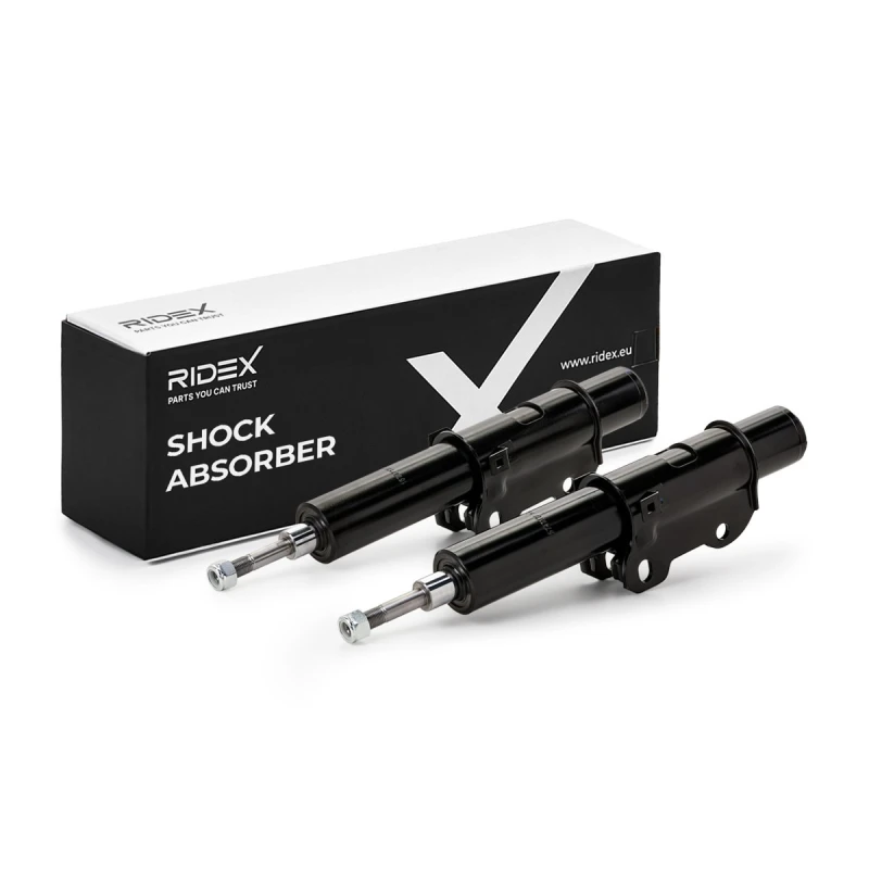 Image of Shock absorber RIDEX 854S2198