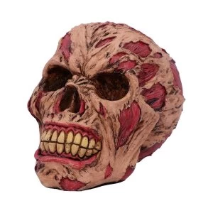 Image of The Hoard Rotting Skull Ornament