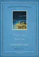 Image of meet the austins book one of the austin family chronicles