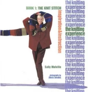 Image of The knitting experience by Sally Melville