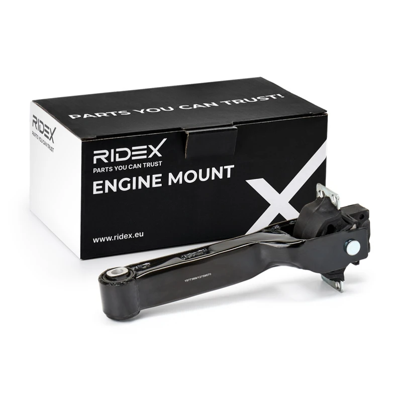 Image of Engine mount RIDEX 247E0349