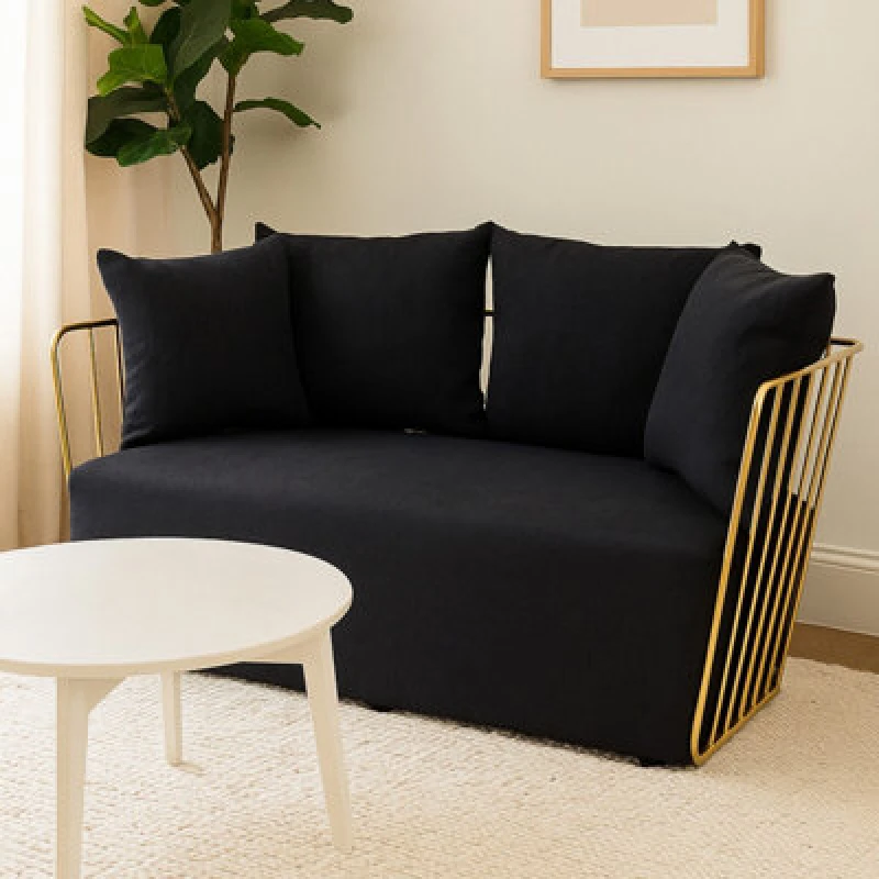 Image of Orsina 2 Seat Black Fabric Sofa, Gold Finish Steel Frame Accent Sofa, Lounge Sofa With 4 Cushions, Wireframe Sofa