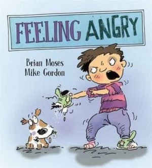 Image of Feeling Angry by Katie Douglass Hardback