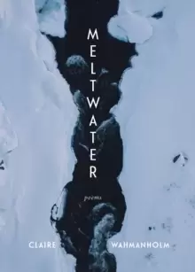 Image of Meltwater : Poems