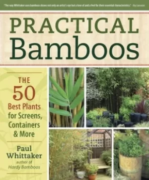 Image of Practical bamboos by Paul Whittaker