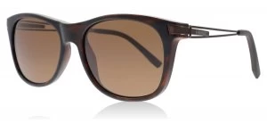 image of Serengeti Pavia Sunglasses Dark Tortoise Dark Tortoise Polariserade 55mm