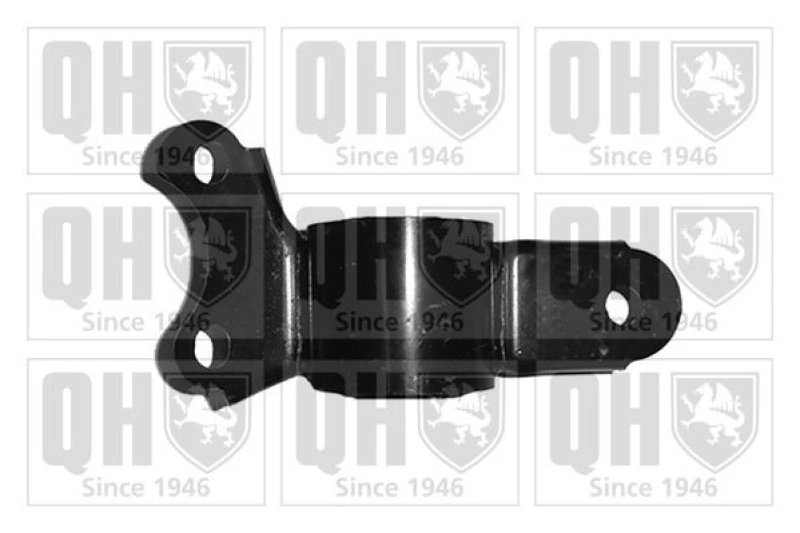 Image of QUINTON HAZELL Trailing arm / Suspension arm bush QUINTON HAZELL EMS8435