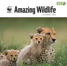 Image of WWF Amazing Wildlife Square Wall Calendar 2023