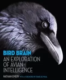 Image of Bird Brain : An Exploration of Avian Intelligence