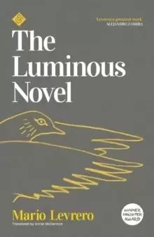 Image of The Luminous Novel