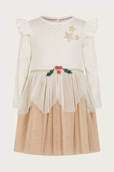 image of Baby Christmas Pudding Dress