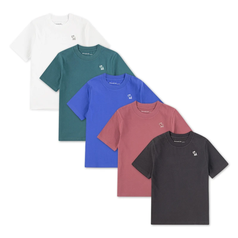 Image of Abercrombie and Fitch A and F 5Pk T-Shirts Jn62 Multi K1K male 13-14Y