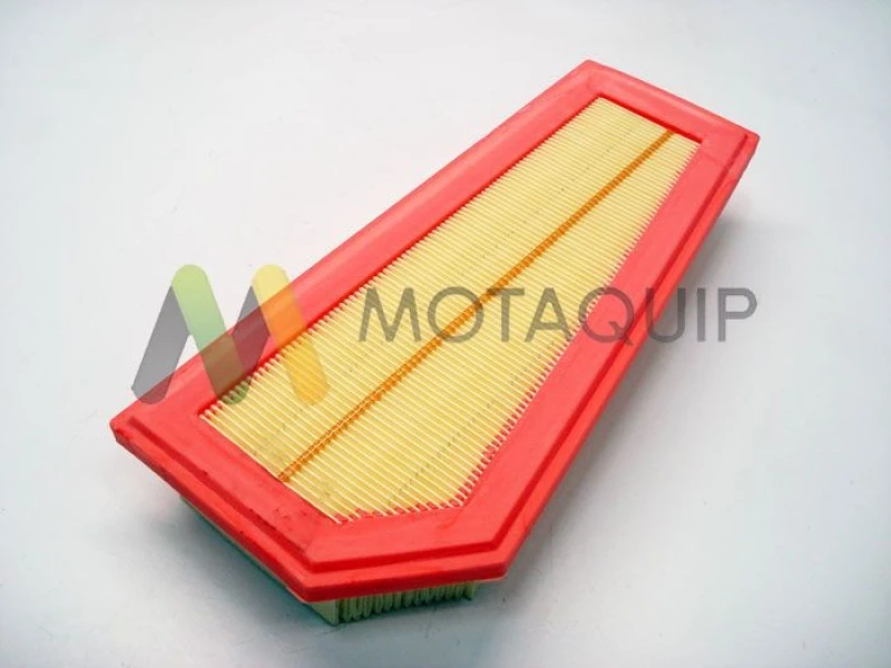 Image of MOTAQUIP Air filter MOTAQUIP LVFA1470