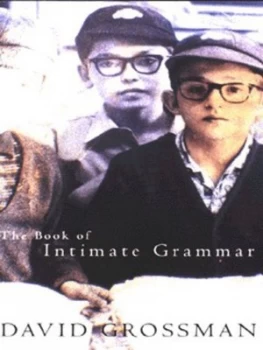 Image of The Book of Intimate Grammar by David Grossman and Betsy Rosenberg Paperback