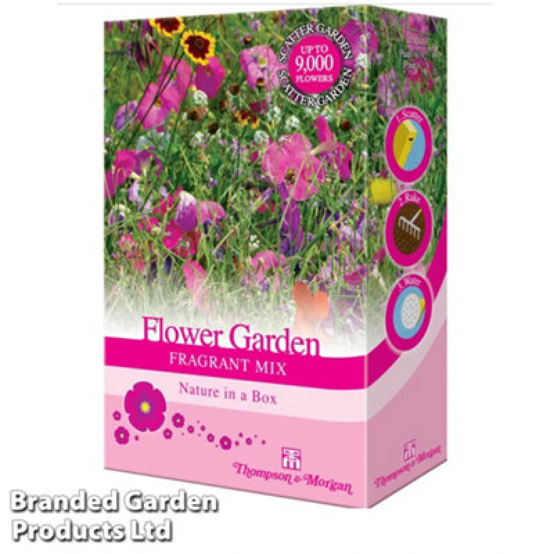 Image of THOMPSON & MORGAN Thompson&morgan - Scatter Seed Pack Flower Garden Fragrant Mix 1 Pack 75715