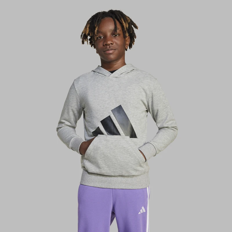 Image of adidas Big Logo Hoodie Juniors - Grey Grey 11 - 12 Years