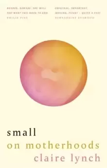 Image of Small : On motherhoods