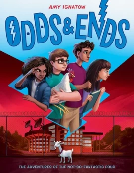 Image of Odds & ends by Amy Ignatow