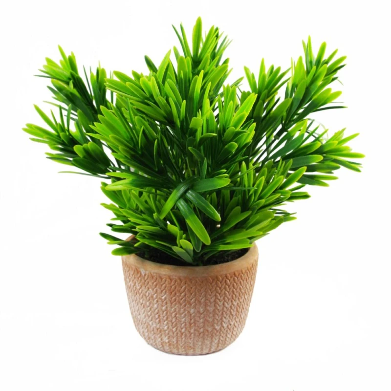 Image of Leaf 22cm Honey Plant Dark Green in Terracotta Pot Green unisex