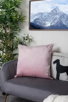 Image of Velour Cushions - Size: 43x43cm - Pink