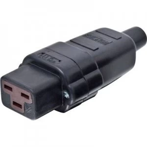 Image of IEC connector Socket straight Total number of pins 2 PE