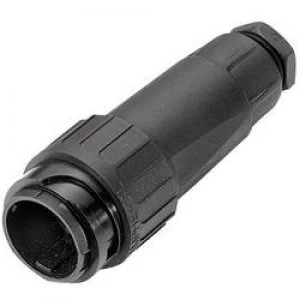 Image of Amphenol C016 10I008 002 1 C016 10I008 Straight Cable Connector C16 3 Nominal current details 12 A Number of pins 8
