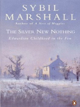 Image of The Silver New Nothing by Sybil Marshall and Ewart Oakeshott Book
