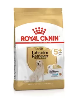 image of Royal Canin Labrador Retriever Adult 5+ Dog Food Dry 12kg