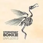 Image of Stornoway - Bonxie Unplucked EP (Music CD)