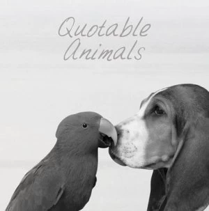 Image of Quotable Animals by Milly Brown Hardback